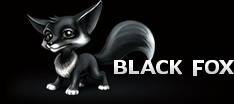 Black Fox -  Illustrations